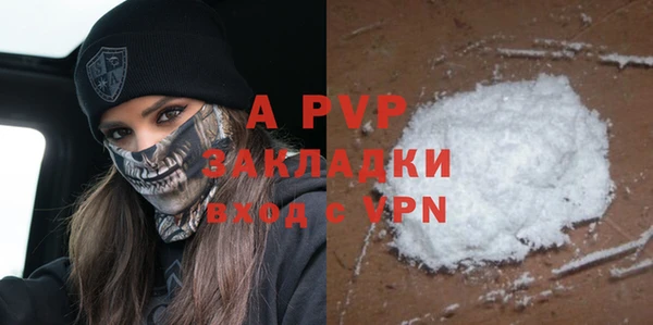 ECSTASY Белокуриха