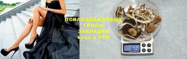 ECSTASY Белокуриха