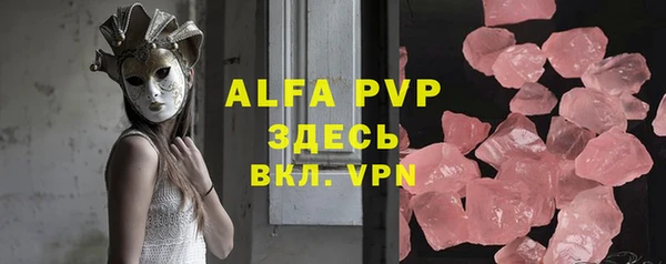 ECSTASY Белокуриха