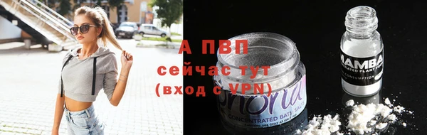 молекула духа Белоозёрский