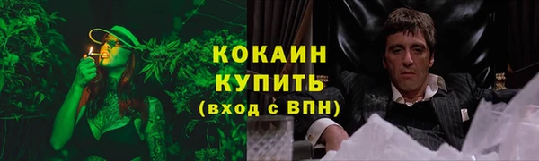 ECSTASY Белокуриха