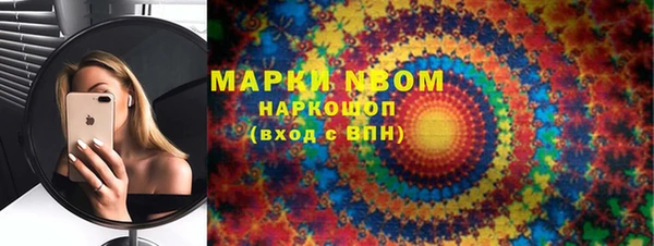 ECSTASY Белокуриха