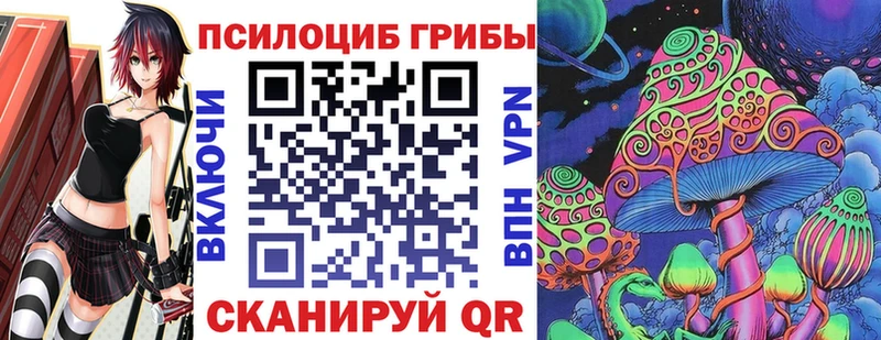 Купить где  Межгорье  Псилоцибиновые грибы Magic Shrooms 