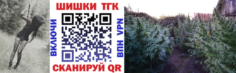 Купить где  Межгорье  Конопля ГИДРОПОН 